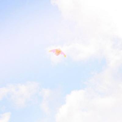 鱼丸深海狂鲨千炮版下载