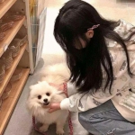 九游梦幻战记手游下载